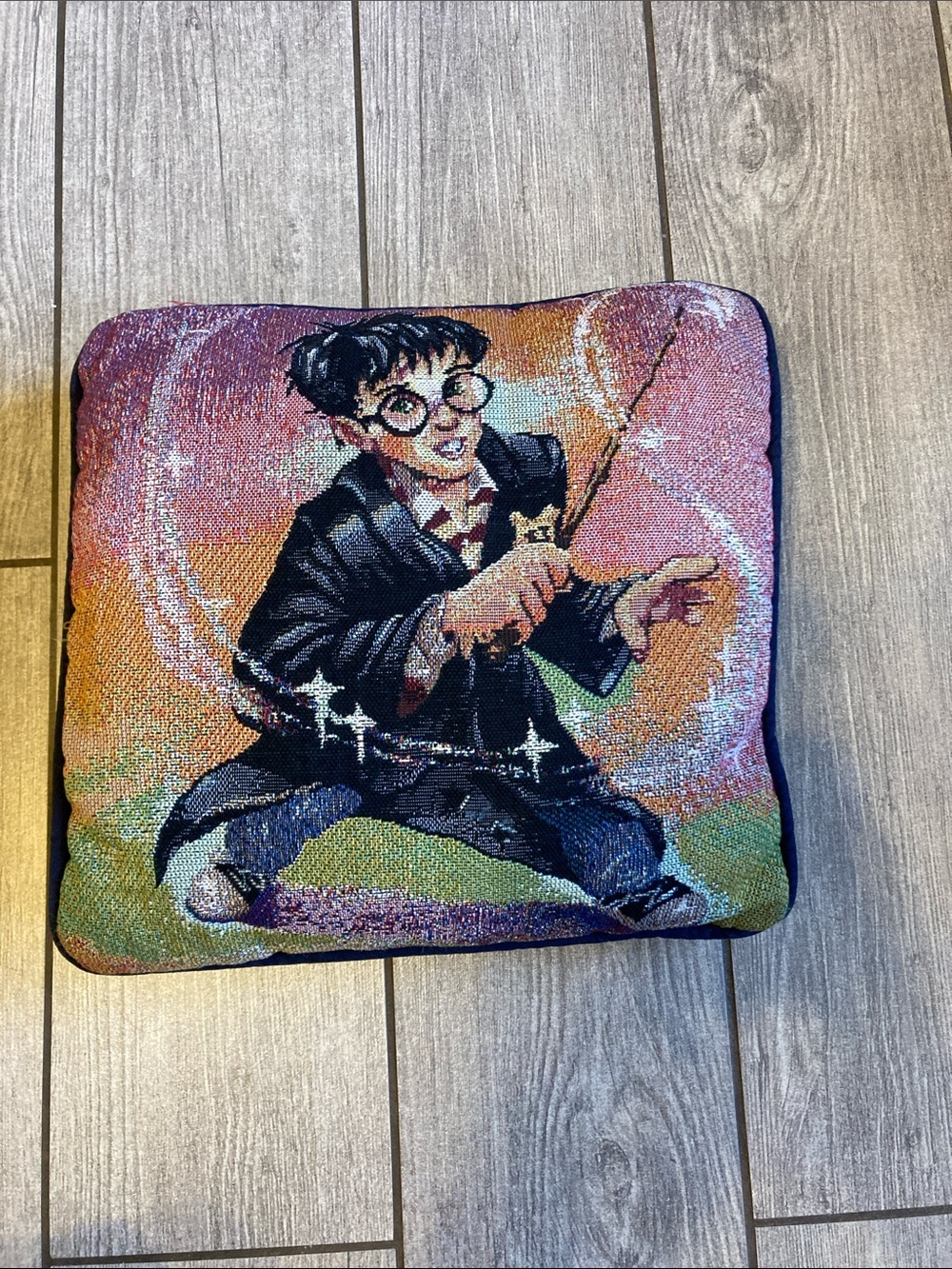 Harry Potter Y2K Tapestry Throw Pillow